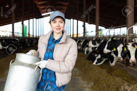 Dairy Farm Assistant